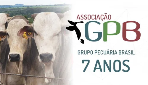 Associao GPB celebra 7 anos com grandes conquistas