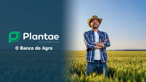 Aumento da contratao de crdito rural faz o banco Plantae Agrocrdito mirar em mais crescimento no agro