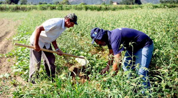Atlas do Espao Rural retrata diversidade e desigualdade do campo brasileiro
