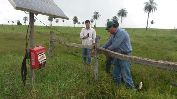 GPB MS promove bate-papo com profissional sobre cercas el�tricas