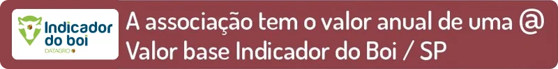 Indicador frase