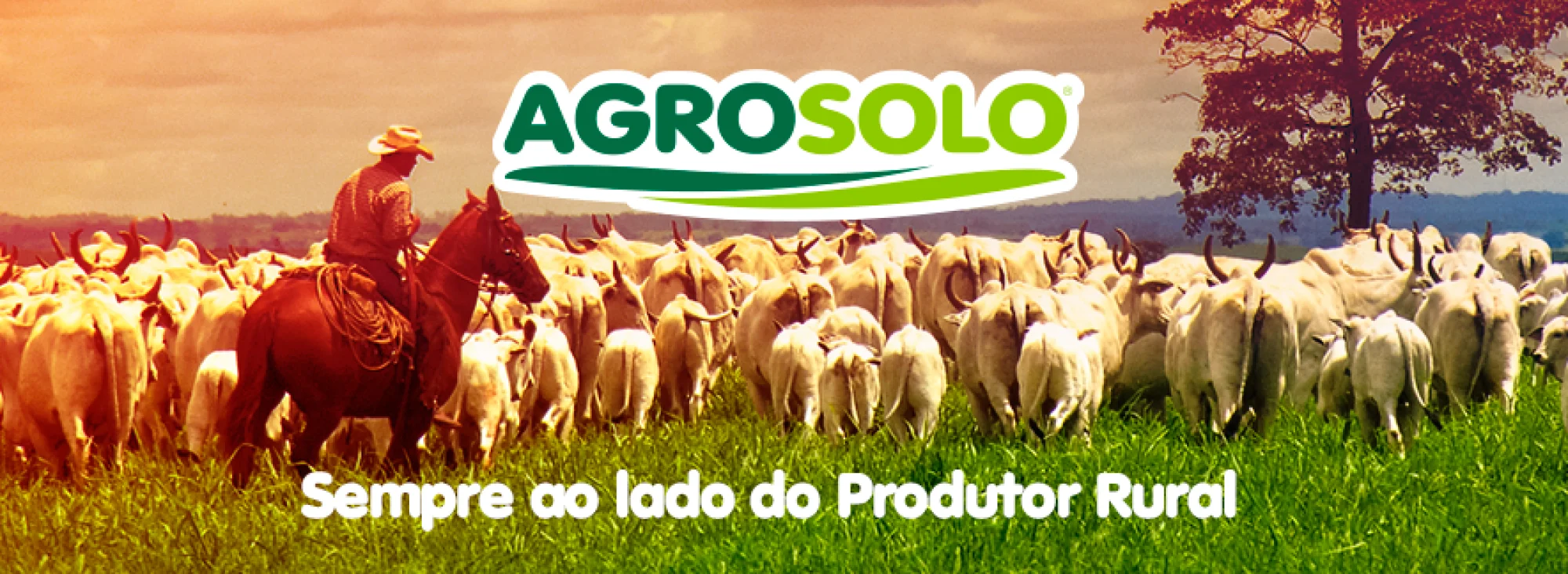 Agro solo
