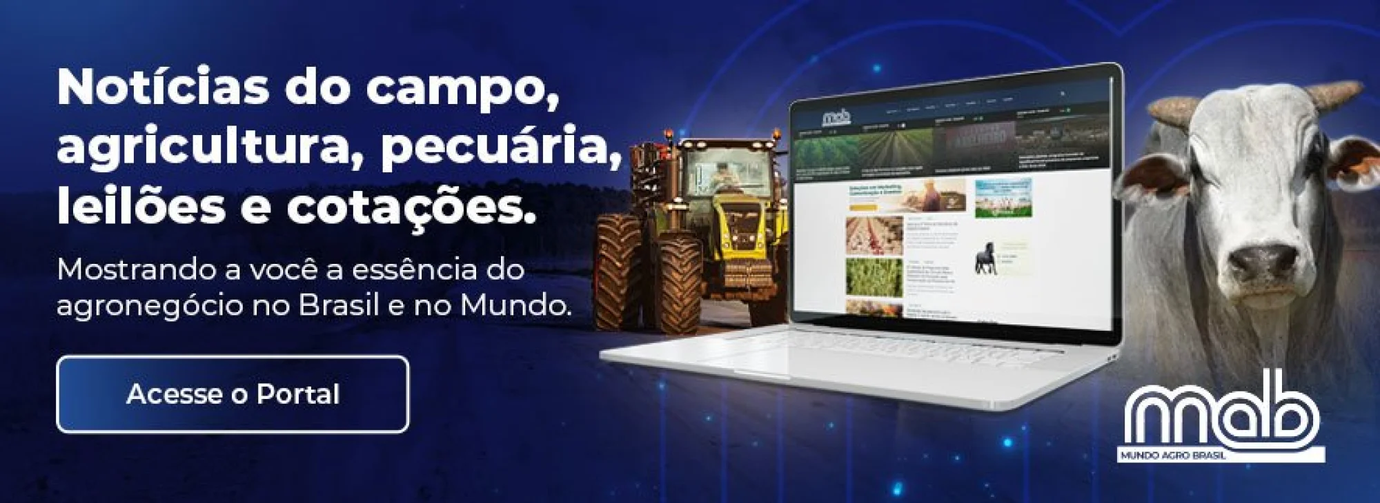 Parceiro