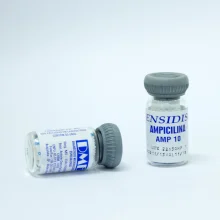 Ampicilina (AMP 10)