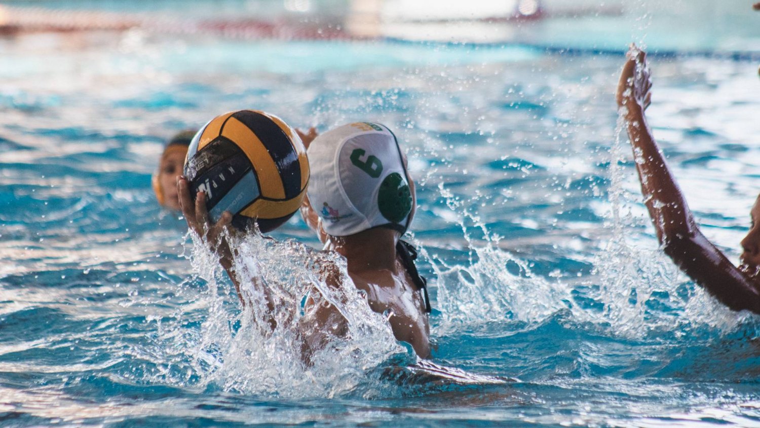 Item Galeria 85