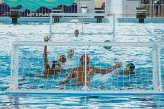HaBaWaBa Brasil 2023 bate recorde de inscritos e divulga grupos