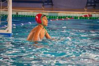 Item Galeria 39