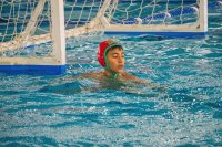 Item Galeria 46