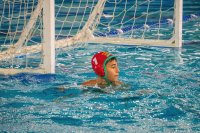 Item Galeria 47