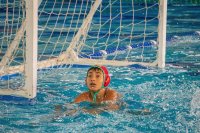 Item Galeria 48