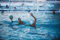Item Galeria 247