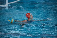 Item Galeria 288