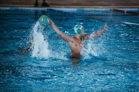 Item Galeria 49