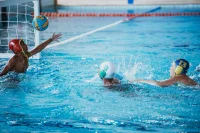 Item Galeria 45