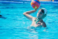 Item Galeria 39