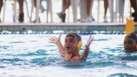 Item Galeria 49