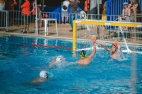 Item Galeria 24