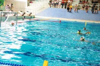 Item Galeria 116