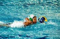 Item Galeria 130