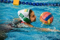 Item Galeria 203