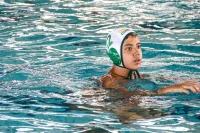 Item Galeria 327