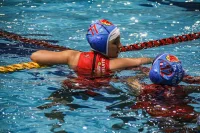 Item Galeria 345