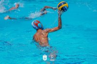 Item Galeria 43