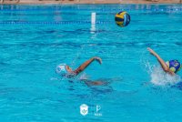 Item Galeria 54