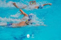 Item Galeria 58
