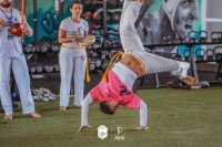 Item Galeria 236