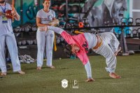 Item Galeria 237