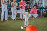 Item Galeria 244