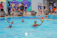 Item Galeria 157
