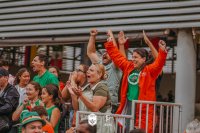 Item Galeria 161