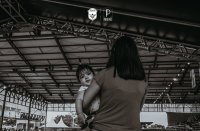 Item Galeria 53