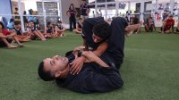 Item Galeria 99
