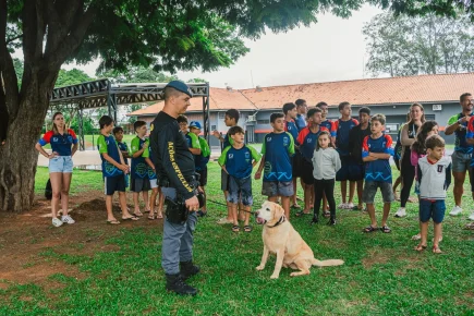 HaBaWaBa Brasil - resumo dia 14-12-2024