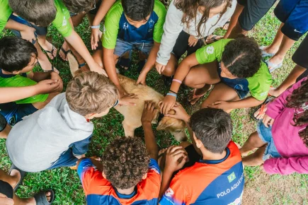 HaBaWaBa Brasil 2024 - dia 14/12