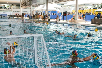 HaBaWaBa Brasil - resumo dia 11-12-2024