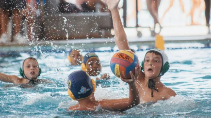 HaBaWaBa Brasil 2023 - dia 17/12