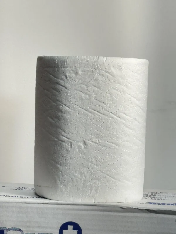 Papis Sanitrios