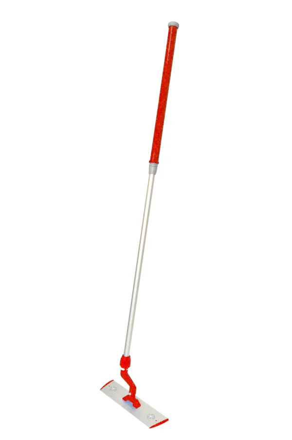 Bac mop evolution