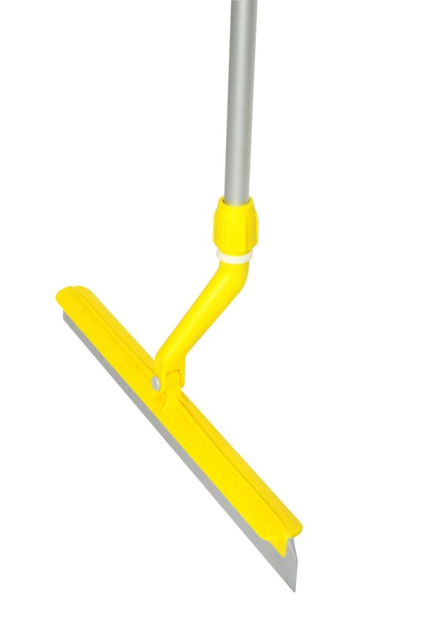 Bac mop evolution