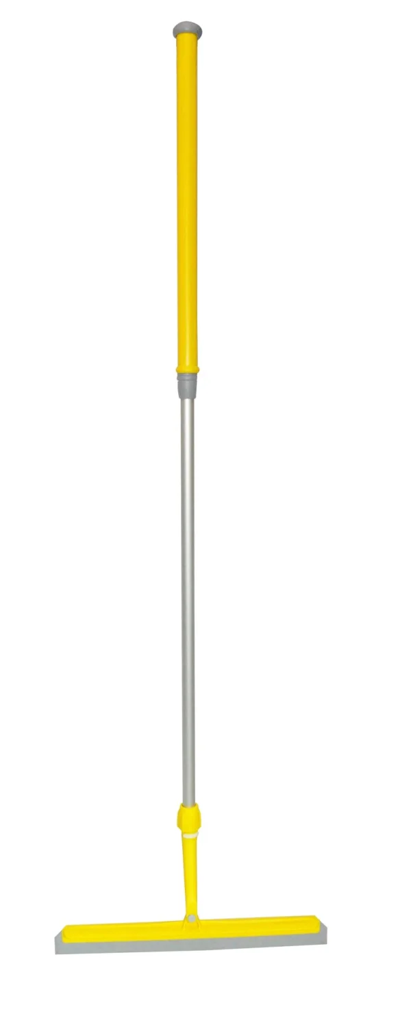 Bac mop evolution