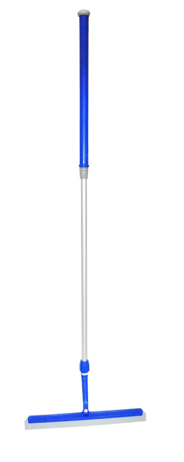 Bac mop evolution