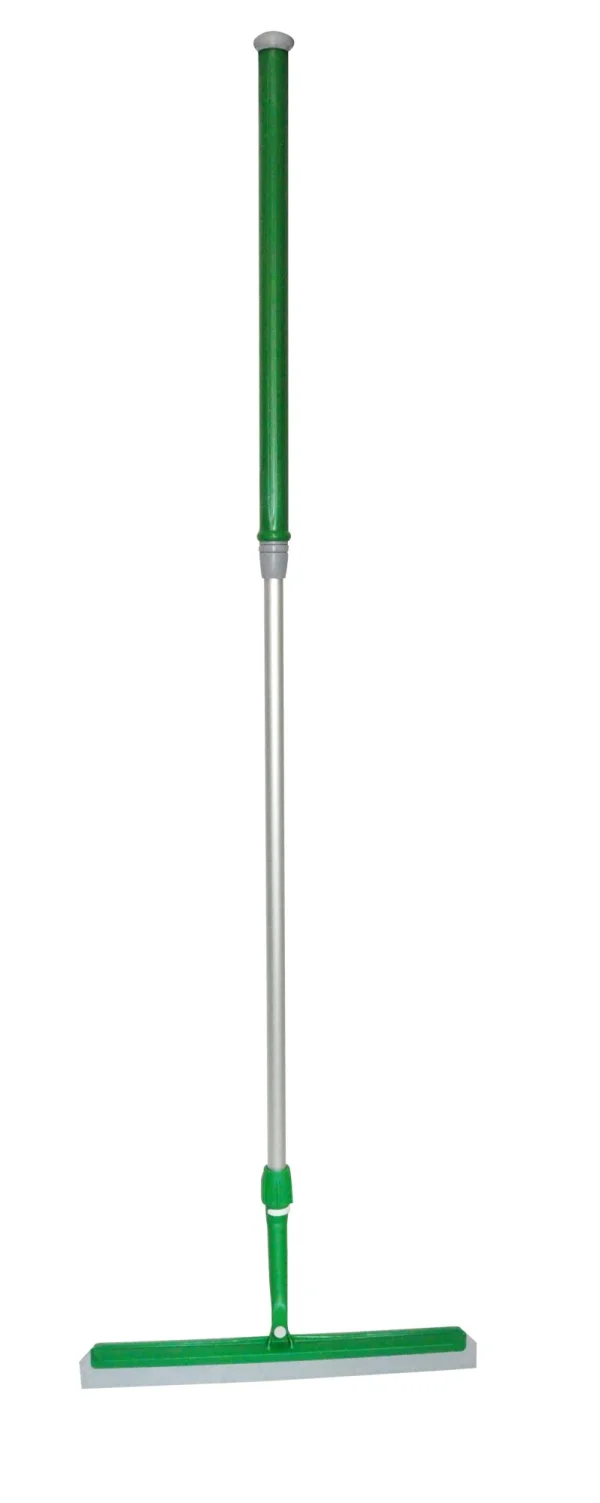 Bac mop evolution