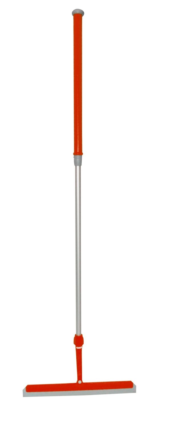 Bac mop evolution