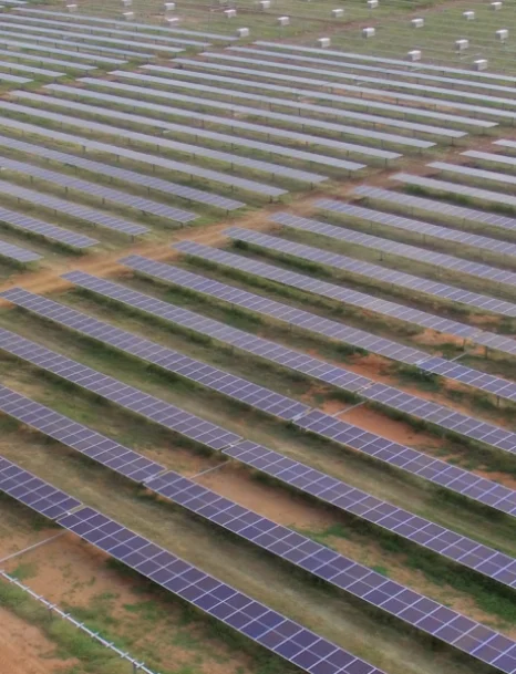 Obra Parque Solar Brígida está em ritmo acelerado de execução