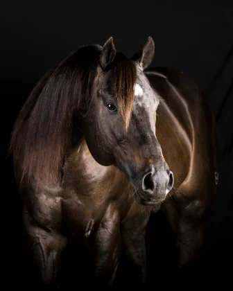 Famous By Corona EK