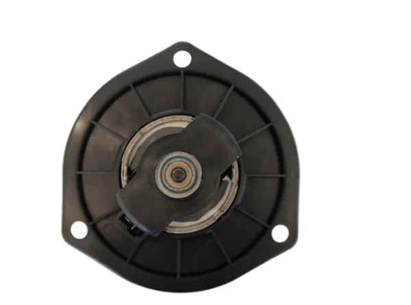 MOTOR VENTILADOR INTERNO MB CAMINHOES ACELO - 24V